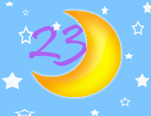23