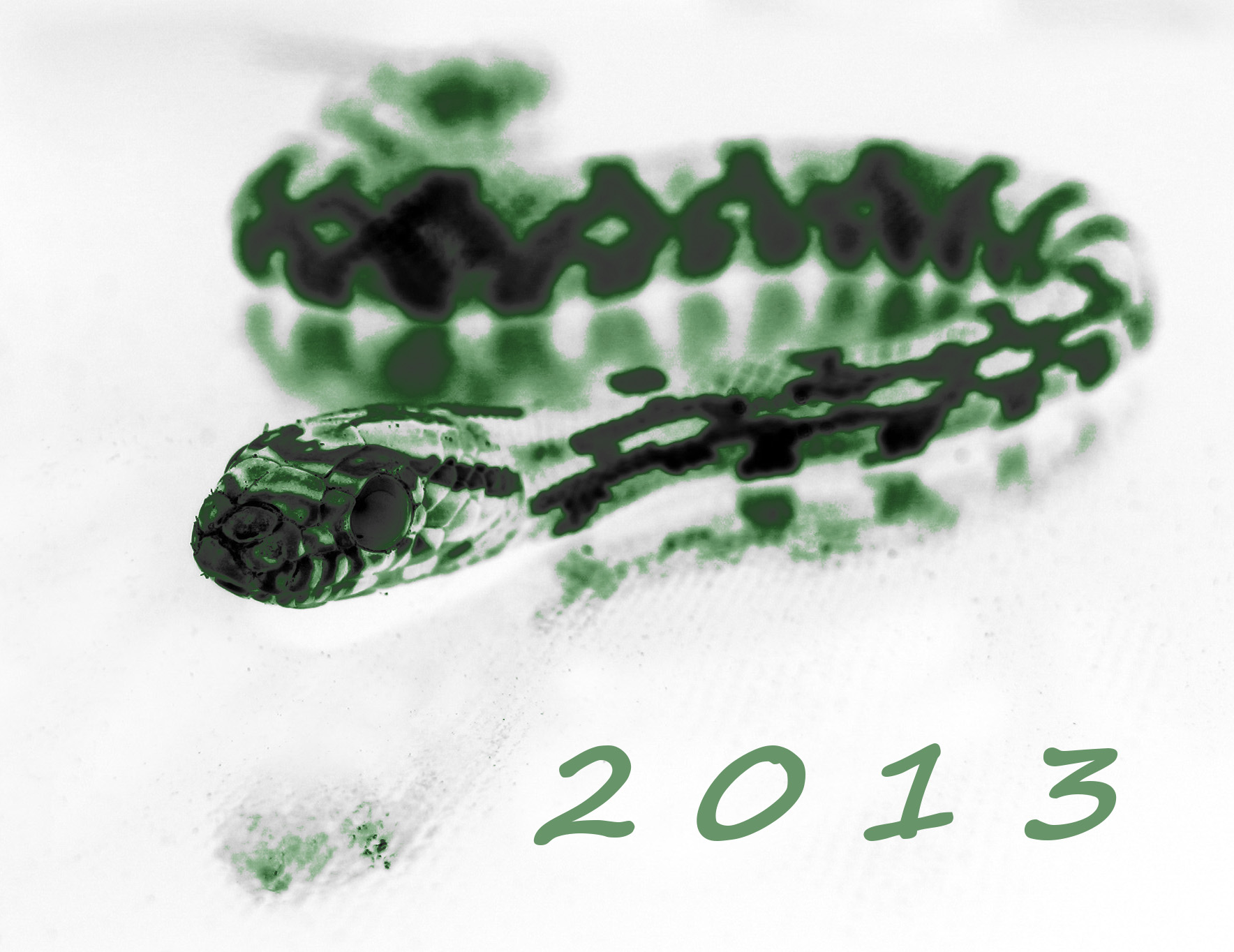 snake2