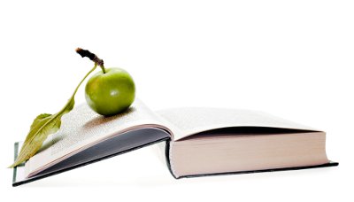 stockvault-apple-on-book128238