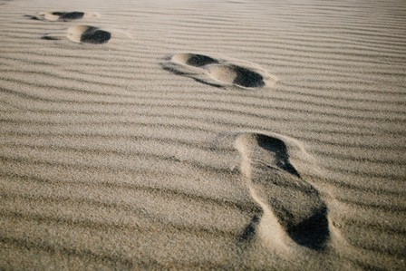 foot