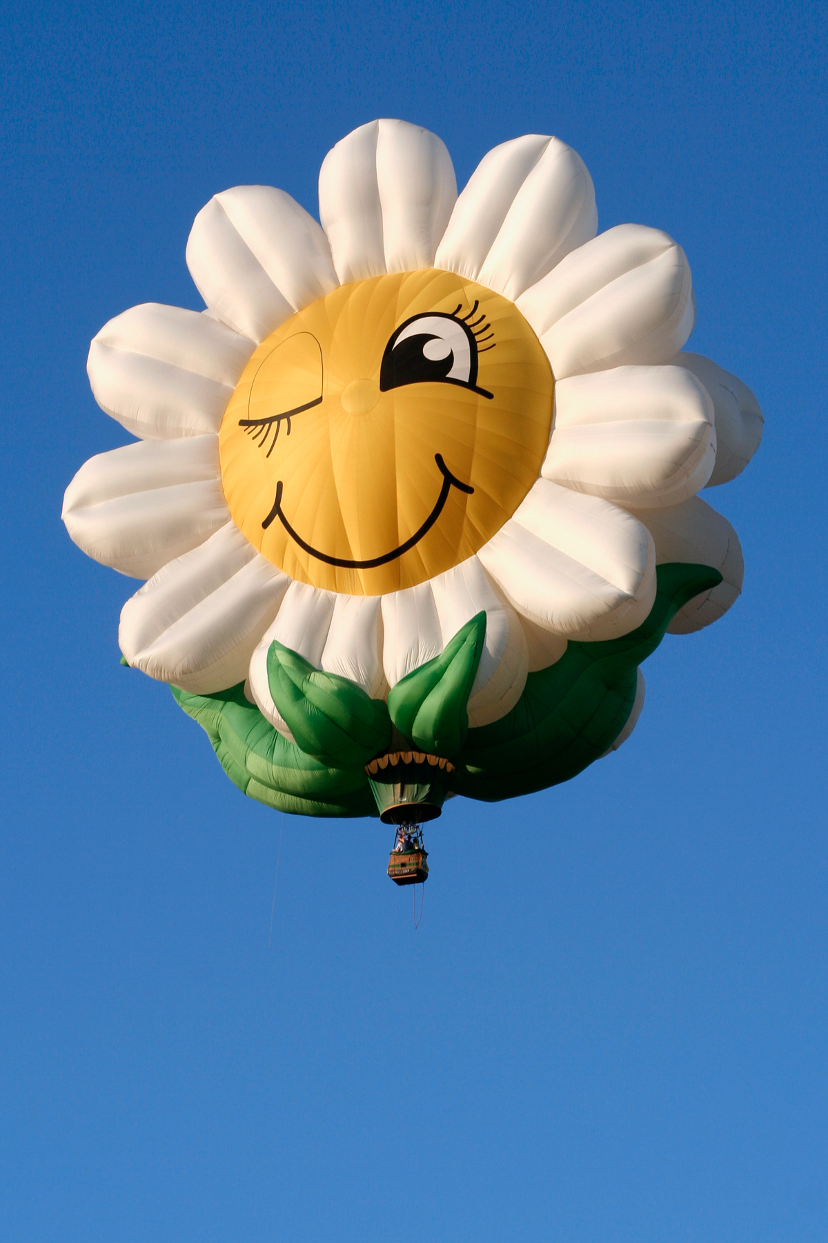 stockvault-smiling-daisy-air-balloon133312